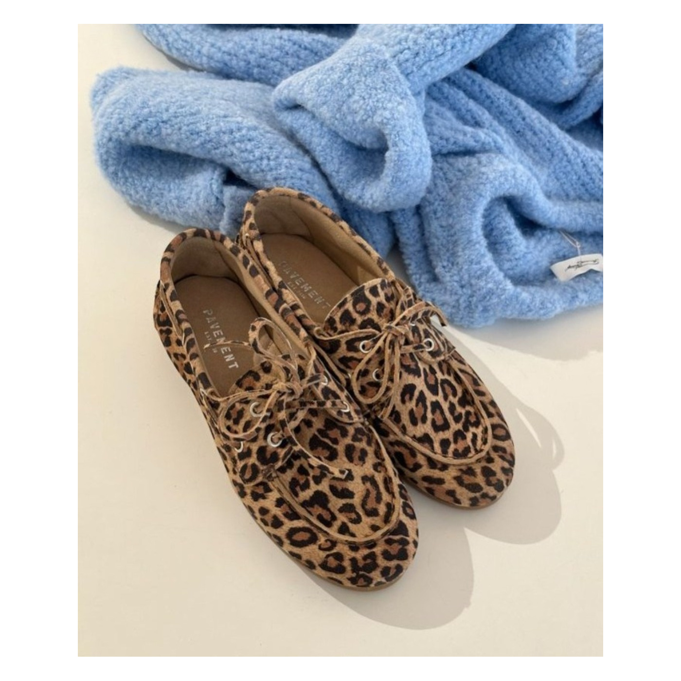 Pavement moccasin leopard Pavement moccasin leopard