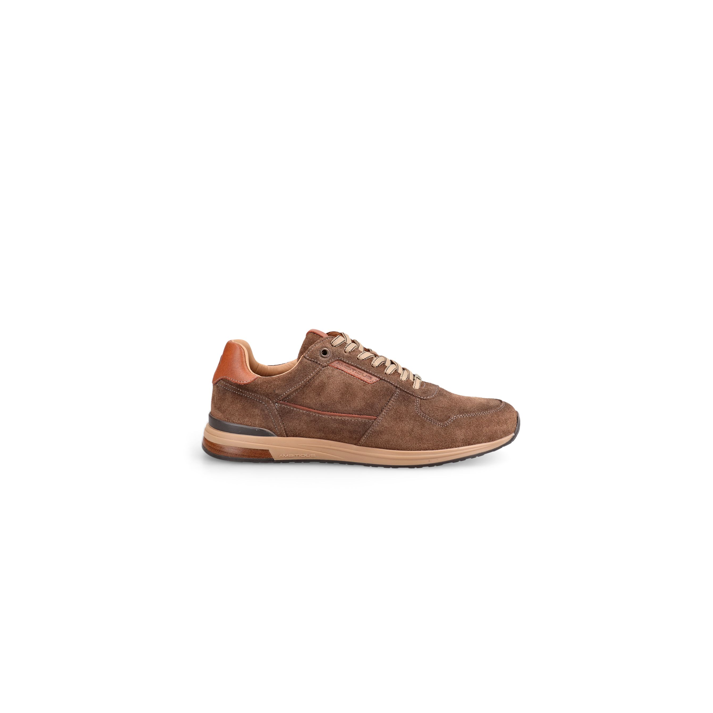 Ambitious sneaker bruin